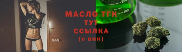 индика Наволоки