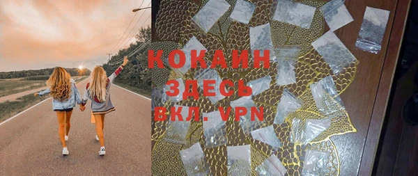 индика Наволоки