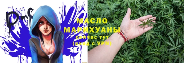 индика Наволоки