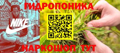 сатива Балаково