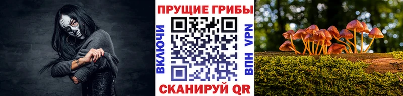 продажа наркотиков Старый Оскол mega вход Псилоцибиновые грибы Magic Shrooms
