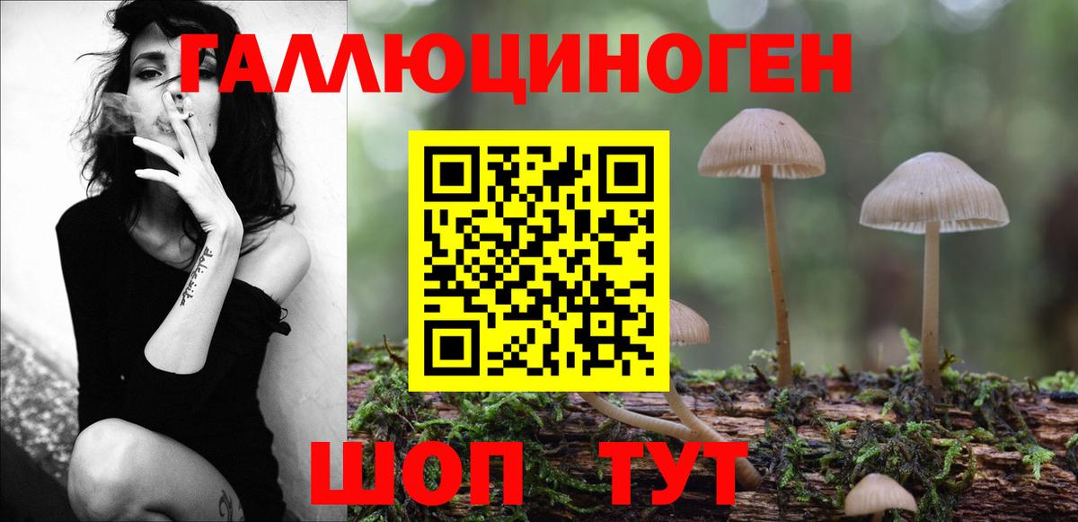 Старый Оскол  Галлюциногенные грибы Psilocybe  Вход с VPN 